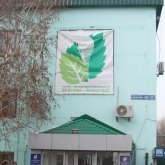 Астана әкімі еңбек дауын шешпей тұрып, 1 млн түп ағашты қалай отырғызбақ?