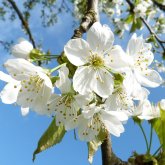 Жауын-шашын аз, 36 градусқа дейін ыстық