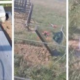 Ақтөбеде жасөспірімдер зираттағы құлпытастарды қиратып кеткен