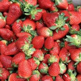 Іші өтіп, бөртпелер шыққан: Құлпынай жеген 6 жасар бала көз жұмды