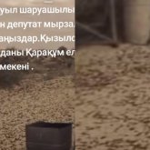«Шошып кеттік»: Қызылорда облысында шегіртке қаптап, халық министр мен депутаттардан көмек сұрады (ВИДЕО)