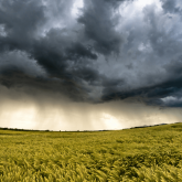 Найзағай, дауыл: Бүгін елдің басым бөлігінде қолайсыз ауа райына байланысты ескерту жасалды