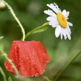 Бүгін еліміздің барлық өңірінде қолайсыз ауа райы болады