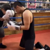 Ұлымен жұдырықтасқан боксшы Данияр Елеусінов елді сүйсінтті (ВИДЕО)