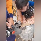 Құтқарушылар бес жасар қызды сүт таситын бөшкеден шығарып алды