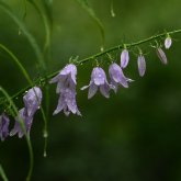 Еліміздің басым бөлігінде дауылды ескерту жарияланды