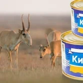 «Киік етін бейберекет алмаңыз»: Министрлік қауіпті аурулардан сақтану үшін қатаң ескерту жасады