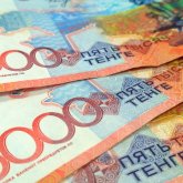 Сау баласының еміне ақша жинаған: Астанада тергеу басталды