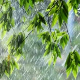 Найзағай, бұршақ: Еліміздің басым бөлігінде дауылды ескерту жарияланды