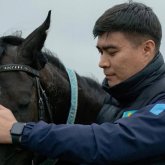 «Көкпар жоқ жерде, қазақ та жоқ»: Журналист Қырғызстандағы сайысқа байкот жариялау керегін айтты