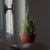 Өскеменде терезе жуамын деп бесінші қабаттан құлаған әже көз жұмды