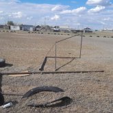 Павлодар облысында футбол қақпасы бес жастағы баланы басып қалды