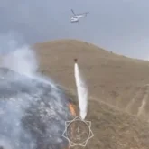 Алматы облысындағы таулы аймақ тағы да отқа оранды (ВИДЕО)