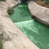 Алматыдағы Қарғалы өзені жасыл түске өзгеріп кетті