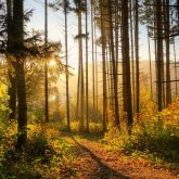 Еліміздің бірқатар өңірінде найзағай, дауыл және өрт қаупі сақталады