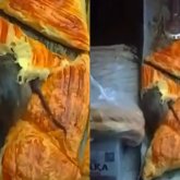 Алматыда самсаның арасынан тірі тышқан шықты (ВИДЕО)