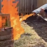 «Құранды өртеп, мұсылмандарды елден қууды талап етті»: АҚШ-тағы сұмдықтың видеосы тарады