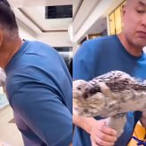 «Бір біріне жат»: Туған күнін екінші отбасымен қарсы алған Алагөзов талқыға түсті (ВИДЕО)