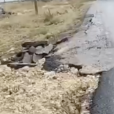 Қарағандыда биыл ғана салынған жол қақ айрылып жатыр: халық жемқорлықты ашық әшкереледі