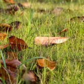Еліміздің басым бөлігінде дауылды ескерту жарияланды