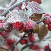 «Үсік жүріп, тұман түседі»: Еліміздің 11 өңірінде дауылды ескерту жарияланды
