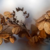 -6°С-қа дейін суық: Бүгін еліміздің бірнеше өңірінде ауа райы қолайсыз болады