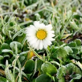 9 градус суық, үсік жүреді: 16 қазанға арналған ауа райы болжамы жарияланды