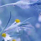 Қазақстанның бірнеше облысында қатты жел мен үсік, төтенше өрт қаупі күтіледі