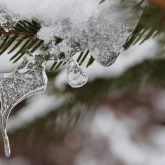 Жел, көктайғақ: 16 өңірде дауылды ескерту жарияланды