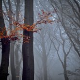 «Тұман, жел»: Еліміздің бірқатар өңірінде дауылды ескерту жарияланды