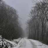 «Көктайғақ, тұман, жел»: Еліміздің басым бөлігінде дауылды ескерту жарияланды