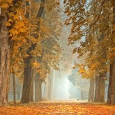 Тұман, найзағай және екпінді жел: Еліміздің 5 өңірінде ескерту жасалды