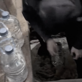 Қарағандыда «Дала Қырандары» заңсыз алкоголь саудасына қарсы рейд өткізді