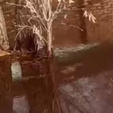 Қарағанды көшелерін тағы су басты