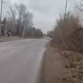 «Тротуарсыз қала»: Степногорск тұрғындары әкімдік жұмысына наразы — ағаштар да заңсыз кесілген