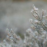 Елімізде -23°C дейін күн суытады