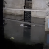 Семейде қаңтар айынан бері ірің басқан жертөлелер: әкімдік үш апта бойы мәселені шеше алмады