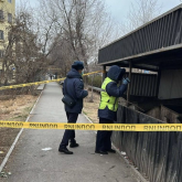 Түркістан облысында қоқыс контейнерінен нәрестенің денесі табылды