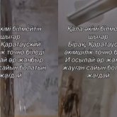 Шымкентте төбесі тесілген үйлер көбейді: Шатырдан су ағады