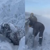 Батыс Қазақстанда қойлар тірідей қарға көміліп, үсіп өлді