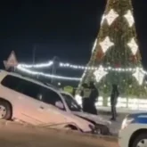 Көкшетауда көлік жүргізушісі шырша маңын тас-талқан етті (ВИДЕО)