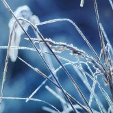 Бүгін еліміздің басым бөлігінде ауа райы қолайсыз болады