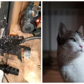 Ақтауда мысық әйел мен балаларды өрттен құтқарып қалды