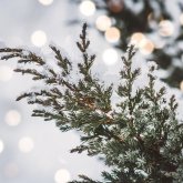 Бүгін бірнеше өңірде ауа райы қолайсыз болады