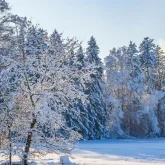 Бүгін бірқатар өңірде ауа райына байланысты ескерту жасалды