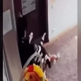 «Тұншықтырып, шапалақпен ұрған»: Алматыда балабақшалардың бірінде тәрбиеші бүлдіршінді аяусыз ұрған