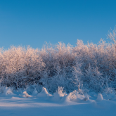 Жаңбыр, қар, көктайғақ: Кей өңірлерде ауа райына байланысты ескерту жасалды