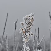 Тұман түсіп, жел екпіні күшейеді: 28 қаңтарға ауа райы болжамы
