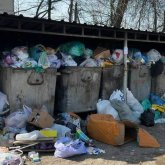 Семейде қоқыс жәшігінен жаңа туған сәбидің денесі табылды