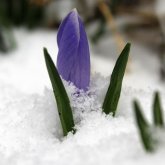 Бүгін еліміздің 16 облысында дауылды ескерту жарияланды